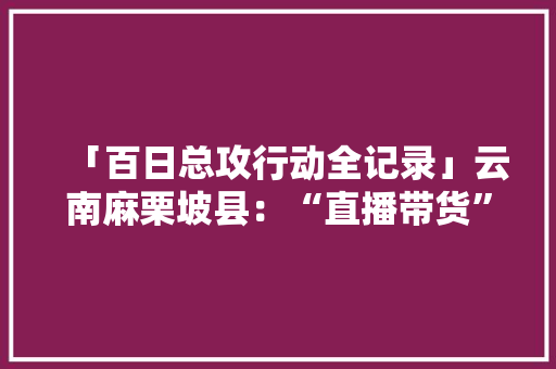「百日总攻行动全记录」云南麻栗坡县：“直播带货”走上脱贫康庄路