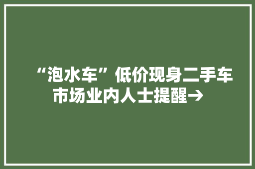 “泡水车”低价现身二手车市场业内人士提醒→ “泡水车”低价现身二手车市场业内人士提醒→ 智能科技