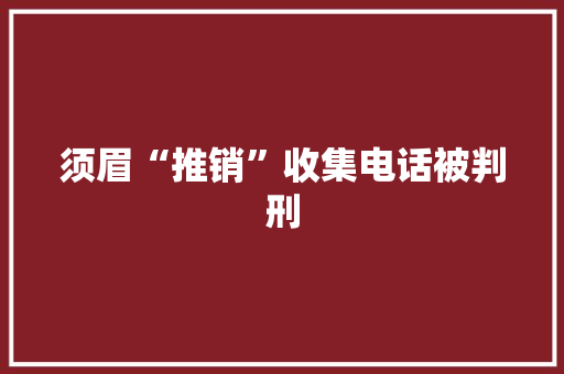 须眉“推销”收集电话被判刑 须眉“推销”收集电话被判刑 智能科技