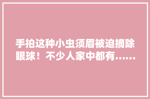 手拍这种小虫须眉被迫摘除眼球！不少人家中都有…… 手拍这种小虫须眉被迫摘除眼球！不少人家中都有…… 人工智能