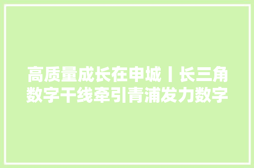 高质量成长在申城丨长三角数字干线牵引青浦发力数字经济 高质量成长在申城丨长三角数字干线牵引青浦发力数字经济 互联通信