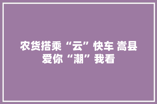 农货搭乘“云”快车 嵩县爱你“潮”我看 农货搭乘“云”快车 嵩县爱你“潮”我看 人工智能