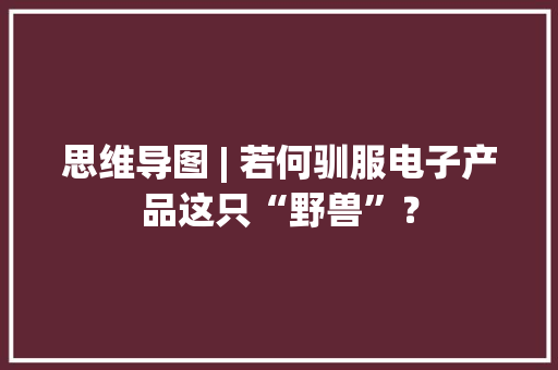 思维导图 | 若何驯服电子产品这只“野兽”？