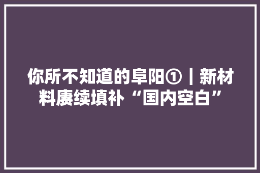 你所不知道的阜阳①｜新材料赓续填补“国内空白” 你所不知道的阜阳①｜新材料赓续填补“国内空白” 人工智能