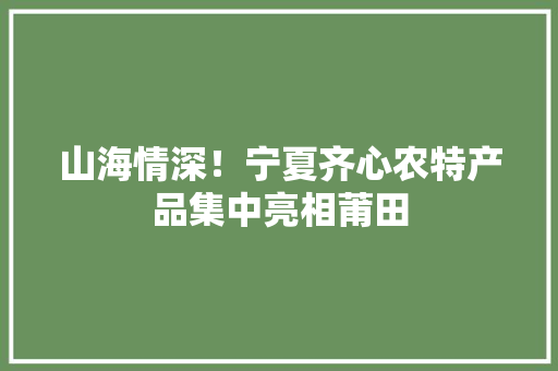山海情深！宁夏齐心农特产品集中亮相莆田 山海情深！宁夏齐心农特产品集中亮相莆田 智能科技
