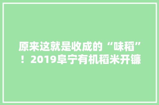 原来这就是收成的“味稻”！2019阜宁有机稻米开镰节来啦 原来这就是收成的“味稻”！2019阜宁有机稻米开镰节来啦 互联通信
