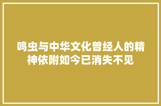 鸣虫与中华文化曾经人的精神依附如今已消失不见 鸣虫与中华文化曾经人的精神依附如今已消失不见 智能家居
