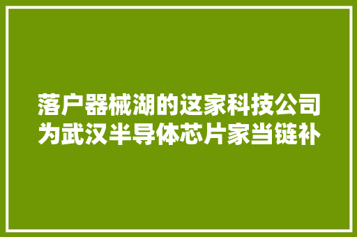 落户器械湖的这家科技公司为武汉半导体芯片家当链补链强链
