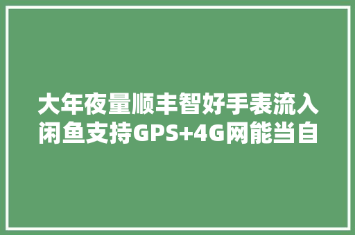 大年夜量顺丰智好手表流入闲鱼支持GPS+4G网能当自行车码表和导航