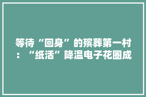 等待“回身”的殡葬第一村：“纸活”降温电子花圈成新宠