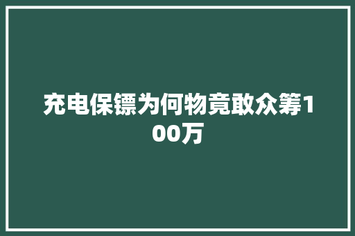 充电保镖为何物竟敢众筹100万 充电保镖为何物竟敢众筹100万 智能家居
