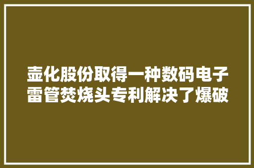 壶化股份取得一种数码电子雷管焚烧头专利解决了爆破过程中的布雷效率问题