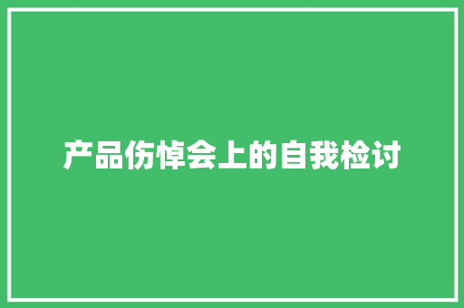 产品伤悼会上的自我检讨 产品伤悼会上的自我检讨 智能家居