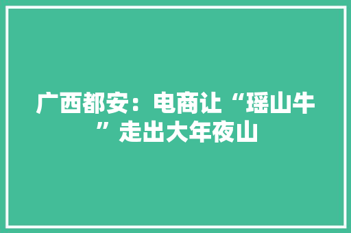 广西都安：电商让“瑶山牛”走出大年夜山