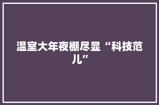 温室大年夜棚尽显“科技范儿”