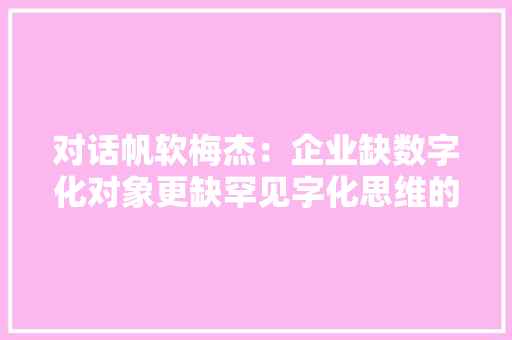 对话帆软梅杰：企业缺数字化对象更缺罕见字化思维的人才