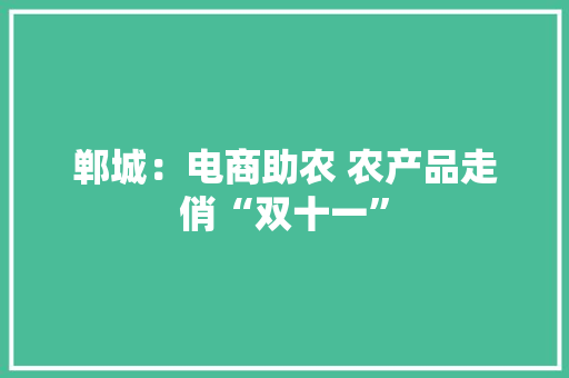 郸城：电商助农 农产品走俏“双十一”