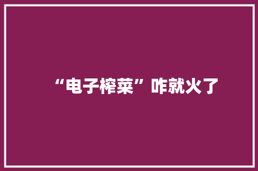 “电子榨菜”咋就火了 “电子榨菜”咋就火了 智能家居