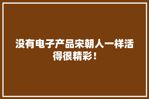 没有电子产品宋朝人一样活得很精彩！