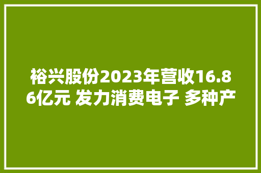 裕兴股份2023年营收16.86亿元 发力消费电子 多种产品产销增长