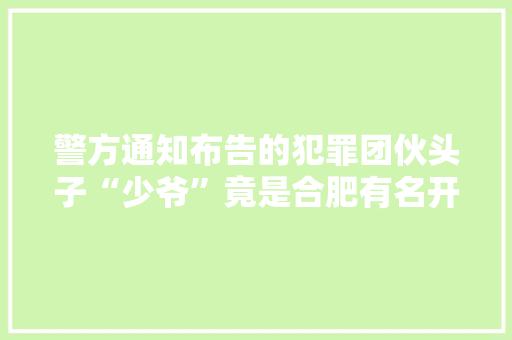 警方通知布告的犯罪团伙头子“少爷”竟是合肥有名开拓商的少爷