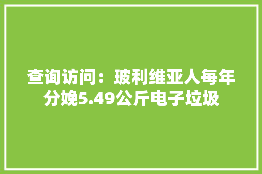 查询访问：玻利维亚人每年分娩5.49公斤电子垃圾
