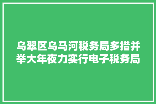 乌翠区乌马河税务局多措并举大年夜力实行电子税务局