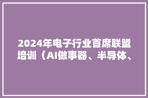 2024年电子行业首席联盟培训（AI做事器、半导体、消费电子）