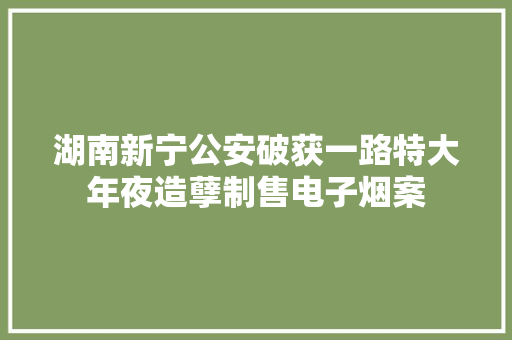 湖南新宁公安破获一路特大年夜造孽制售电子烟案 湖南新宁公安破获一路特大年夜造孽制售电子烟案 智能科技