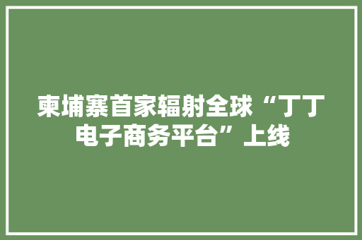 柬埔寨首家辐射全球“丁丁电子商务平台”上线