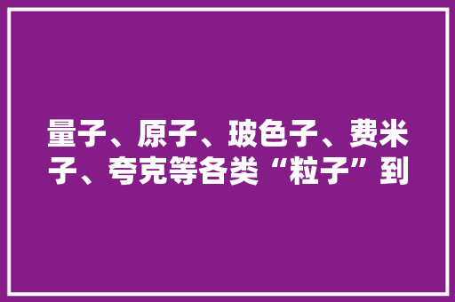 量子、原子、玻色子、费米子、夸克等各类“粒子”到底有啥差异？