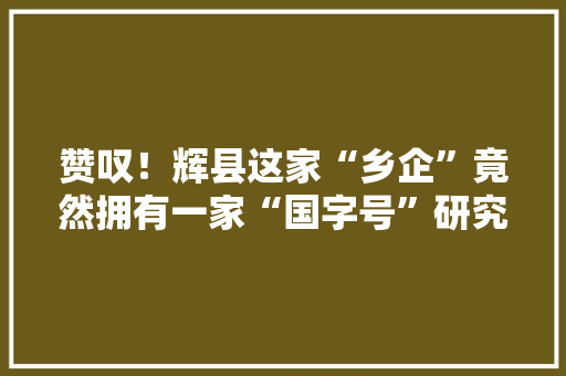 赞叹！辉县这家“乡企”竟然拥有一家“国字号”研究所！请看孟电“转型记”