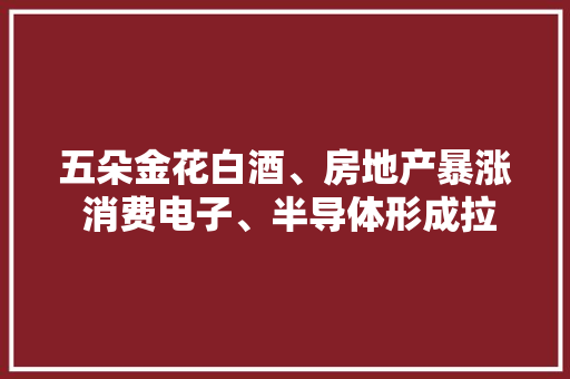 五朵金花白酒、房地产暴涨 消费电子、半导体形成拉升