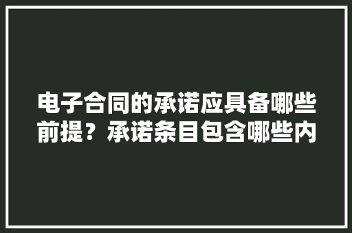 电子合同的承诺应具备哪些前提？承诺条目包含哪些内容？