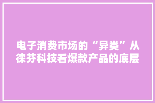 电子消费市场的“异类”从徕芬科技看爆款产品的底层逻辑