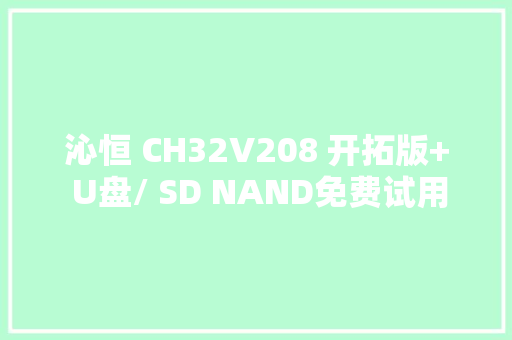 沁恒 CH32V208 开拓版+ U盘/ SD NAND免费试用读写与多功能数码相框