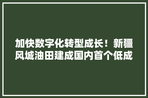 加快数字化转型成长！新疆风城油田建成国内首个低成本稠油物联网