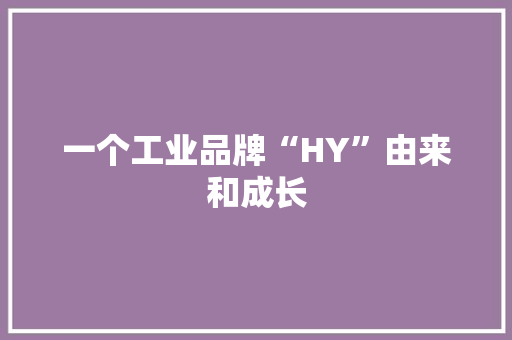 一个工业品牌“HY”由来和成长