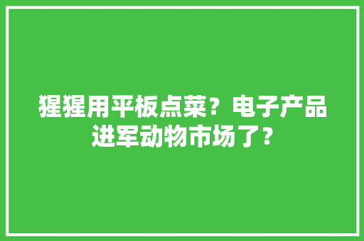 猩猩用平板点菜？电子产品进军动物市场了？
