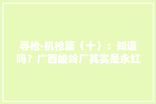 寻枪·机枪篇（十）：知道吗？广西峻岭厂其实是永红高射机枪厂