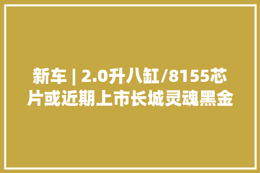 新车 | 2.0升八缸/8155芯片或近期上市长城灵魂黑金特别款亮相