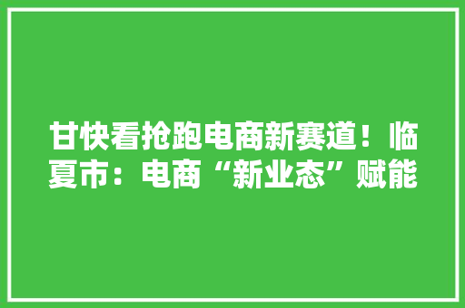甘快看抢跑电商新赛道！临夏市：电商“新业态”赋能家当“新成长”