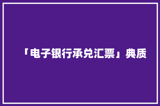 「电子银行承兑汇票」典质