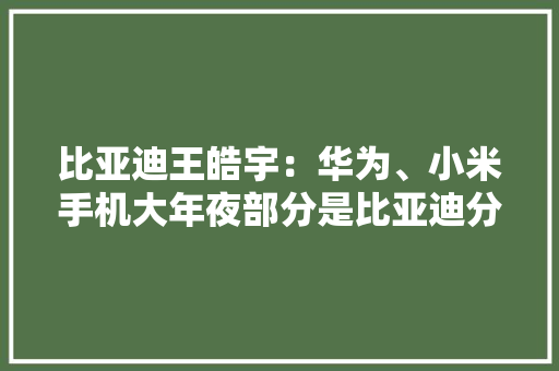 比亚迪王皓宇：华为、小米手机大年夜部分是比亚迪分娩的！是中国最大年夜电子代工厂一年进账1500亿元附比亚迪企业分析