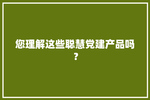 您理解这些聪慧党建产品吗？