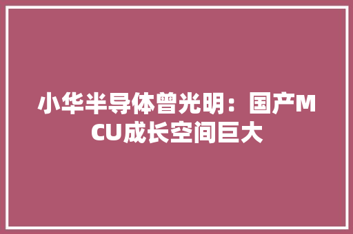 小华半导体曾光明：国产MCU成长空间巨大