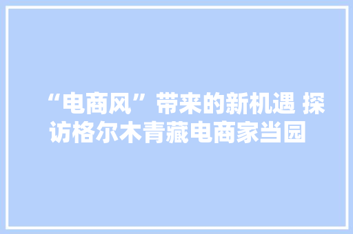 “电商风”带来的新机遇 探访格尔木青藏电商家当园