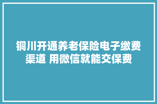 铜川开通养老保险电子缴费渠道 用微信就能交保费 铜川开通养老保险电子缴费渠道 用微信就能交保费 智能科技