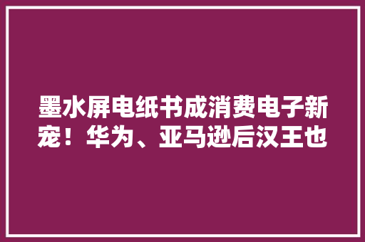 墨水屏电纸书成消费电子新宠！华为、亚马逊后汉王也回归了