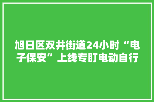 旭日区双井街道24小时“电子保安”上线专盯电动自行车